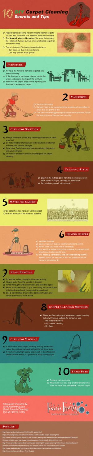 Must Known Diy Carpet Cleaning Secrets And Tips Infographic The