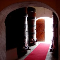 A Wine Cellar