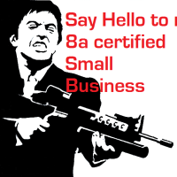 SBA 8a small business