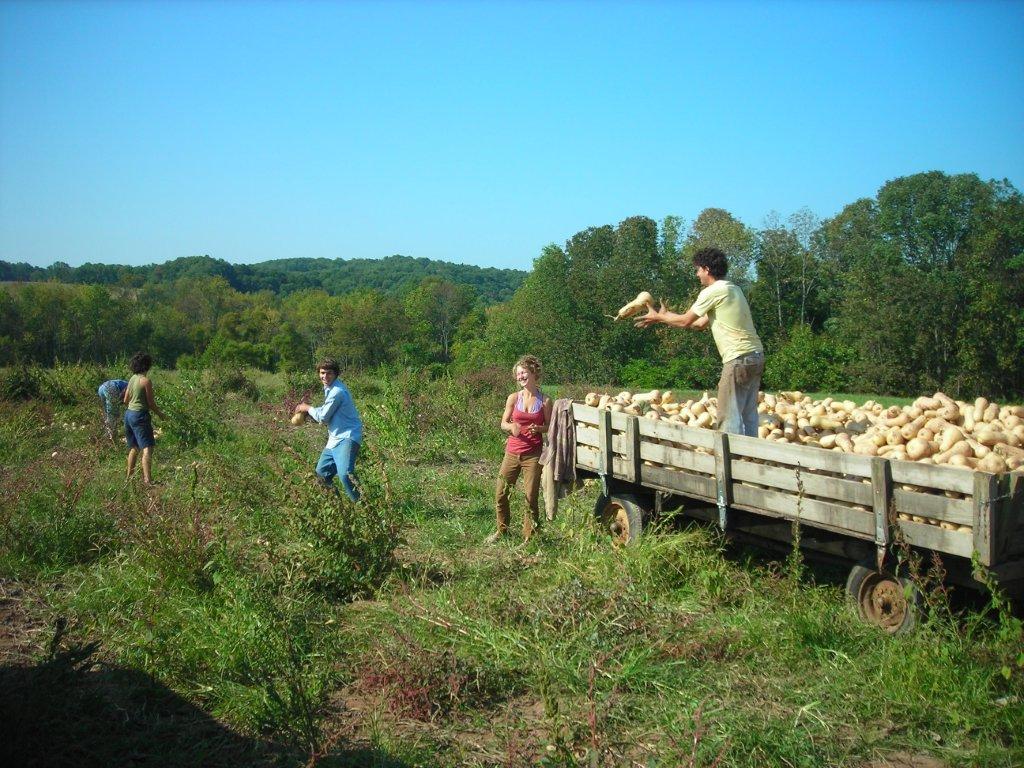 So You Think You Know What A Small Farm Is All About? | The Local Brand®