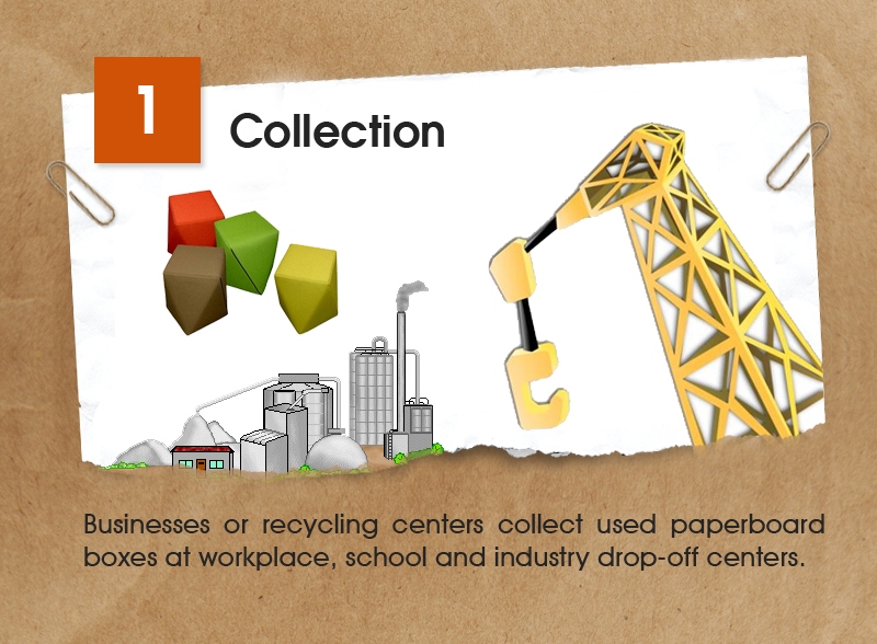 The Recycling Story Of Paperboard – Learn How It Gets A New Life [Infographic]