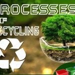 Process of recycling thumbnail