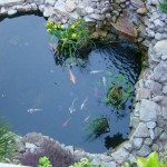 Pond design and construction