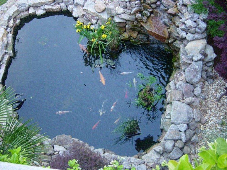 Pond-design-768x576.jpg