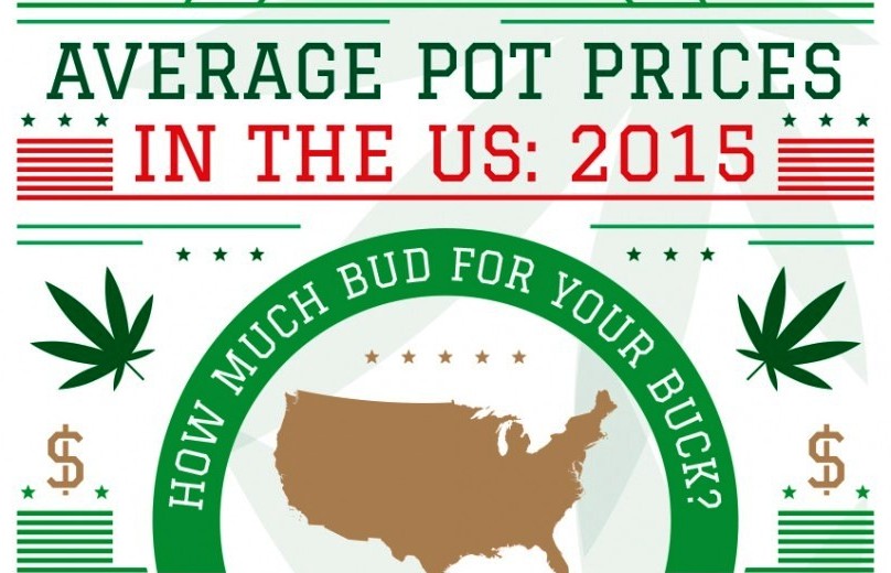 Average Pot Price in the US: 2015 [Infographic]