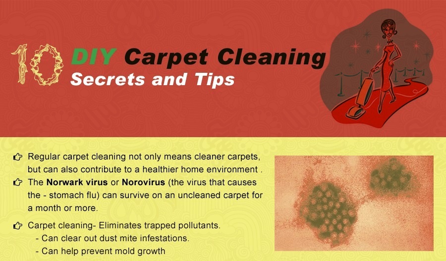 10 Must Known DIY Carpet Cleaning Secrets and Tips [Infographic]