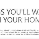 Bugs you want in your home [Infographic] Thumb