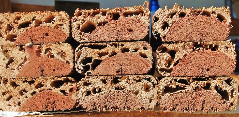 Termite ridden wood samples