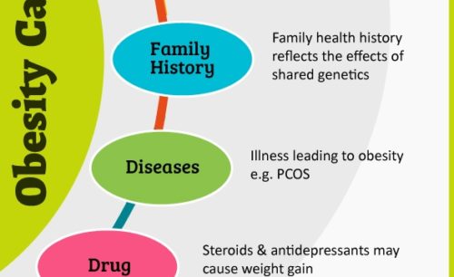 How Does Obesity Affect Your Body? [Infographic] – The Local Brand®