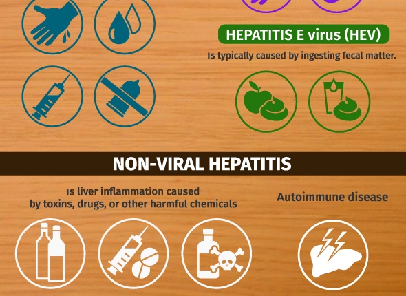 Hepatitis: Liver Infection, Know its Types Causes and prevention? [Infographic]