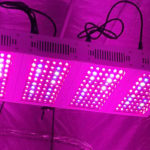 Grow lamps and modern agro tech