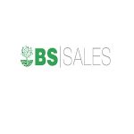 Bs Sales Informática
