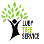 Mckinney Tree Service – LubyTreeService