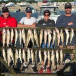 Reel Fun Charters