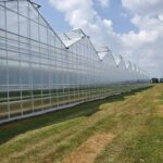 Ruthven Greenhouse Construction