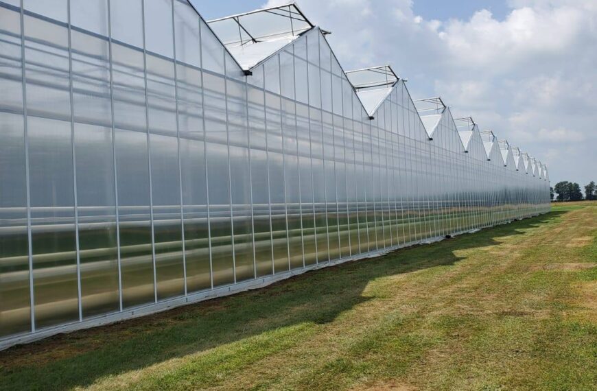 Ruthven Greenhouse Construction