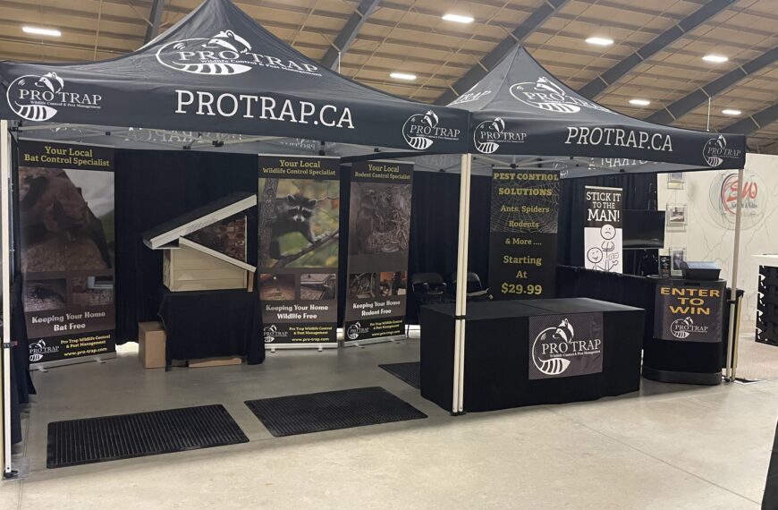 Pro Trap Wildlife Control & Pest Management