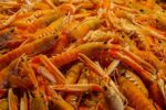 Crawfish House & Grill, LLC