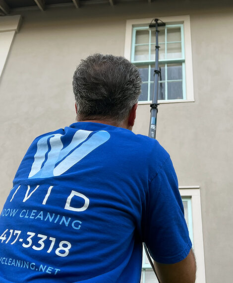 Vivid Window Cleaning