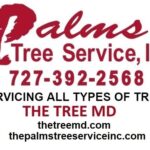 Tree Services