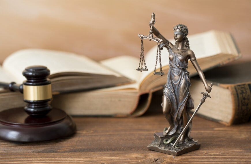 The Stein Law Group