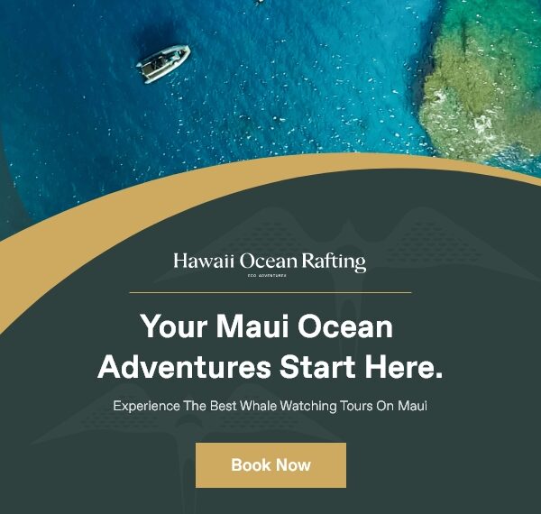 Hawaii Ocean Rafting