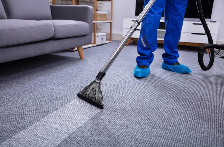 The Clean Freak Cleaning Service