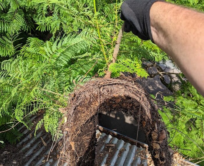 Logan Gutter Cleaning