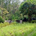 Landscape Designer